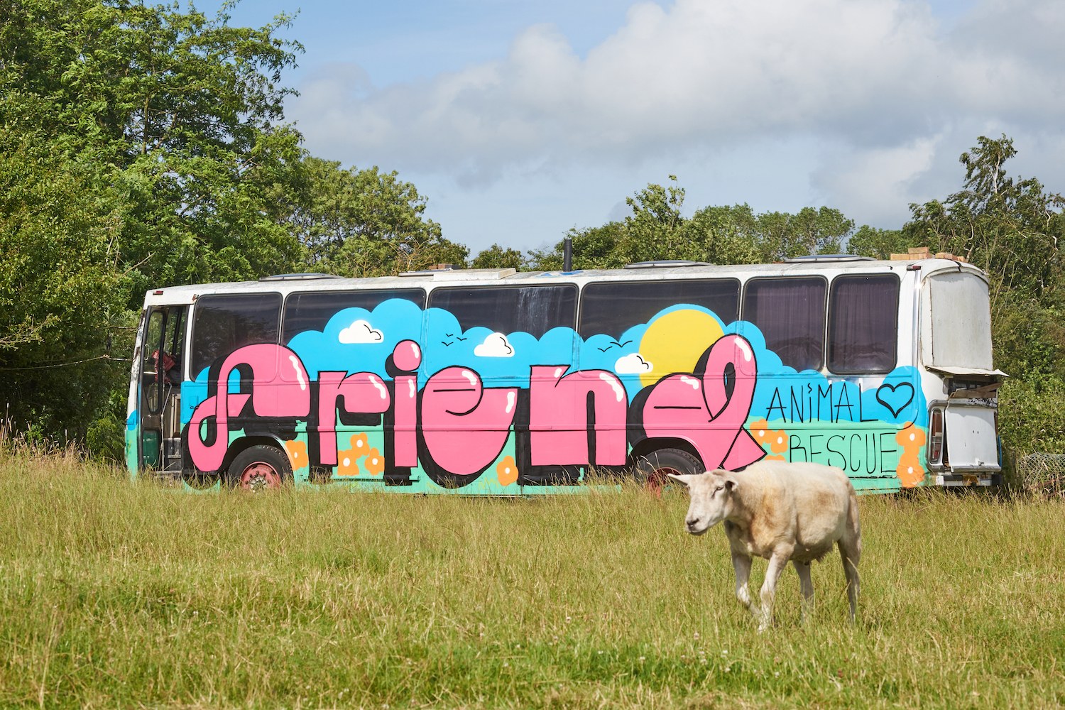 FRIEND Farm Animal Sanctuary