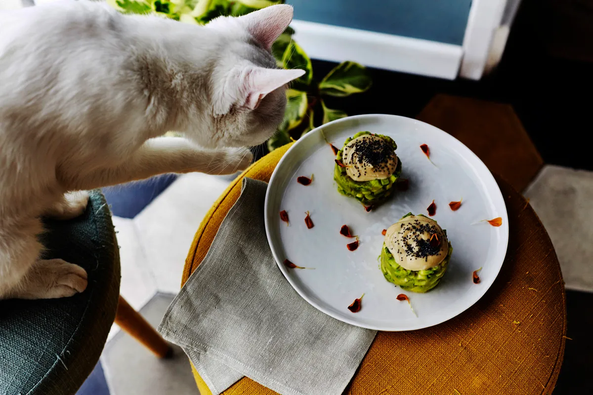 Romeow Cat Bistrot