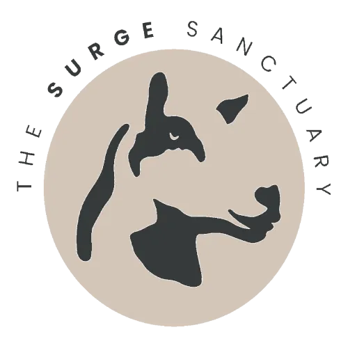 Surge Sanctuary