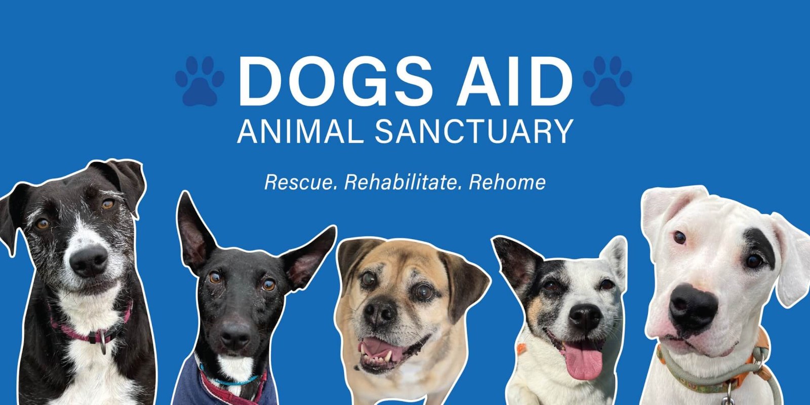 Dogs Aid Animal Sanctuary