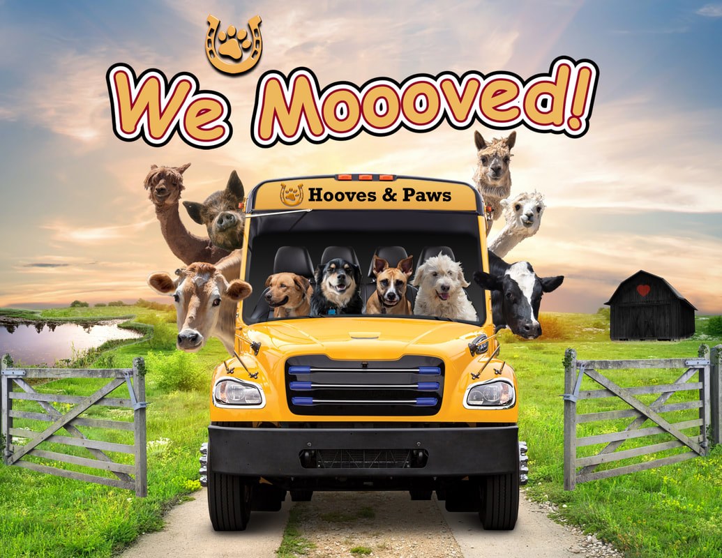 Hooves and Paws
