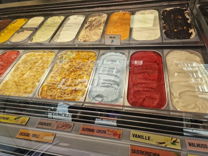 Eisfuchs