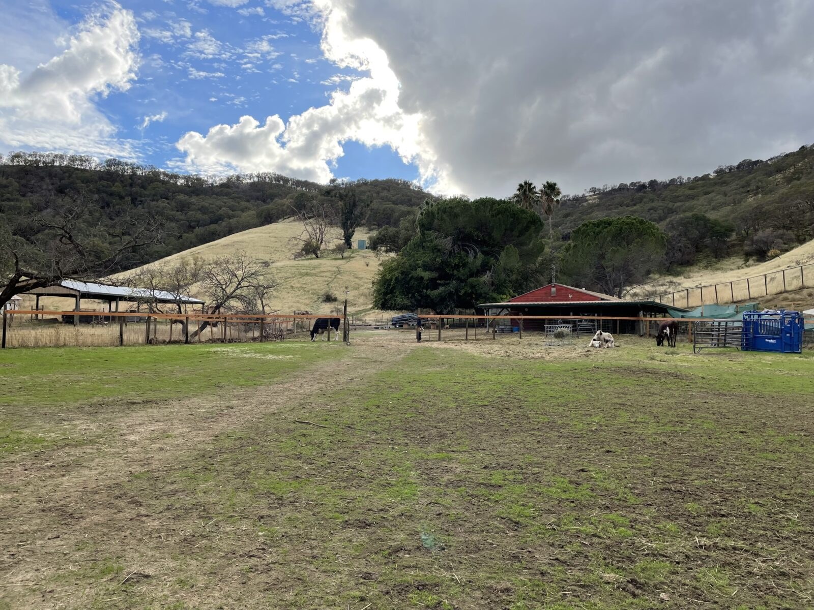Herd & Flock Animal Sanctuary