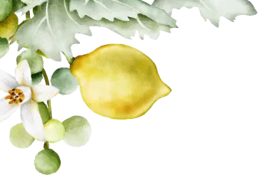 Promis Pinseria