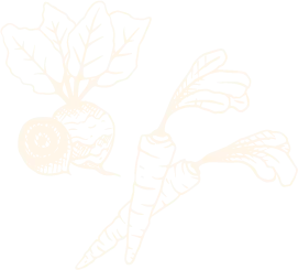 Vital Root
