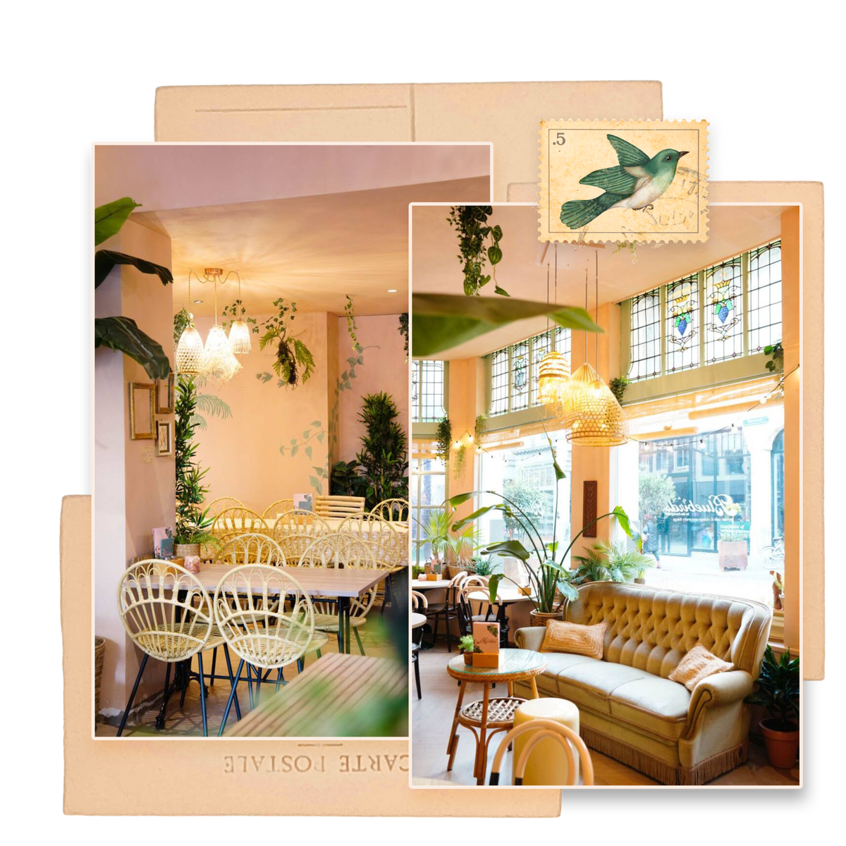 Bluebirds in the Backyard