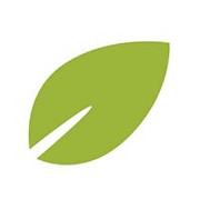 Saute-san