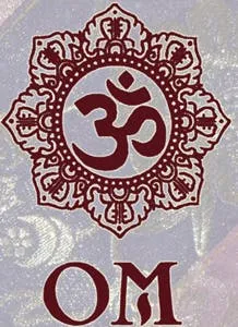 OM Indian Restaurant