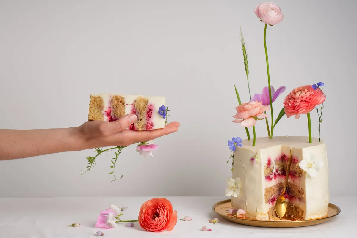Sereda Vegan Point
