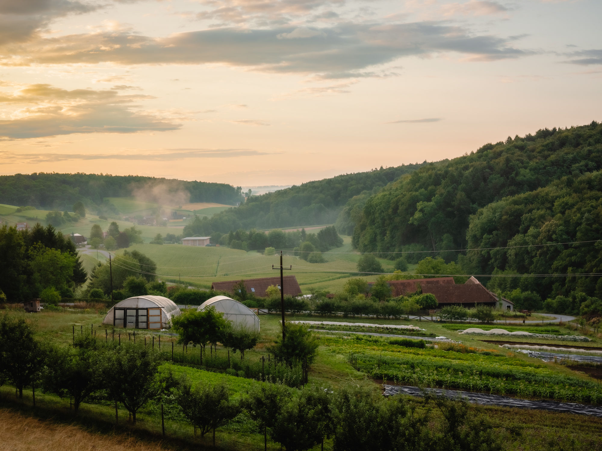 GeLaWi Kleine Farm