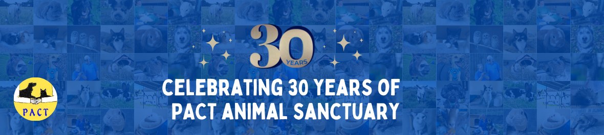 PACT Animal Sanctuary