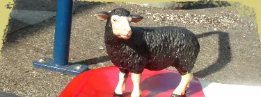 Black Sheep Bakery