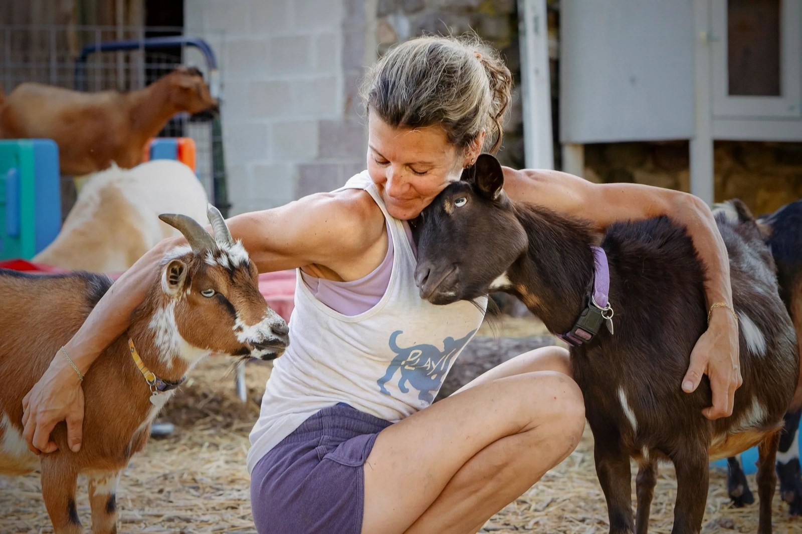 SunnySide Farm Animal Sanctuary