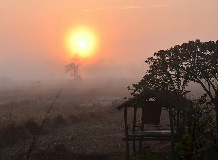 Thai-Isaan