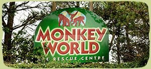 Monkey World Ape Rescue