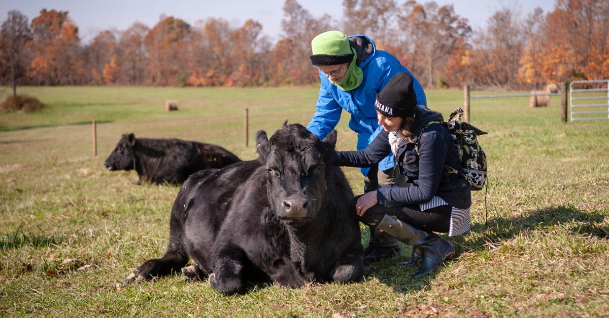 Uplands Peak Sanctuary