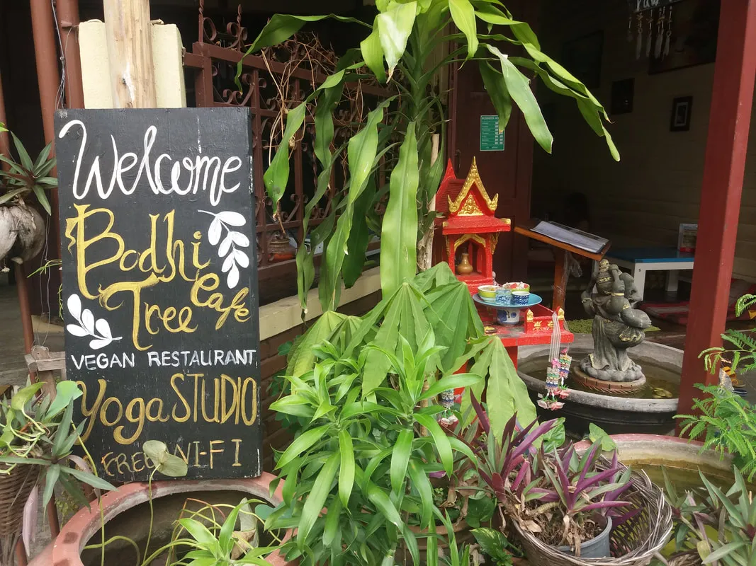 Bodhi Tree Cafe
