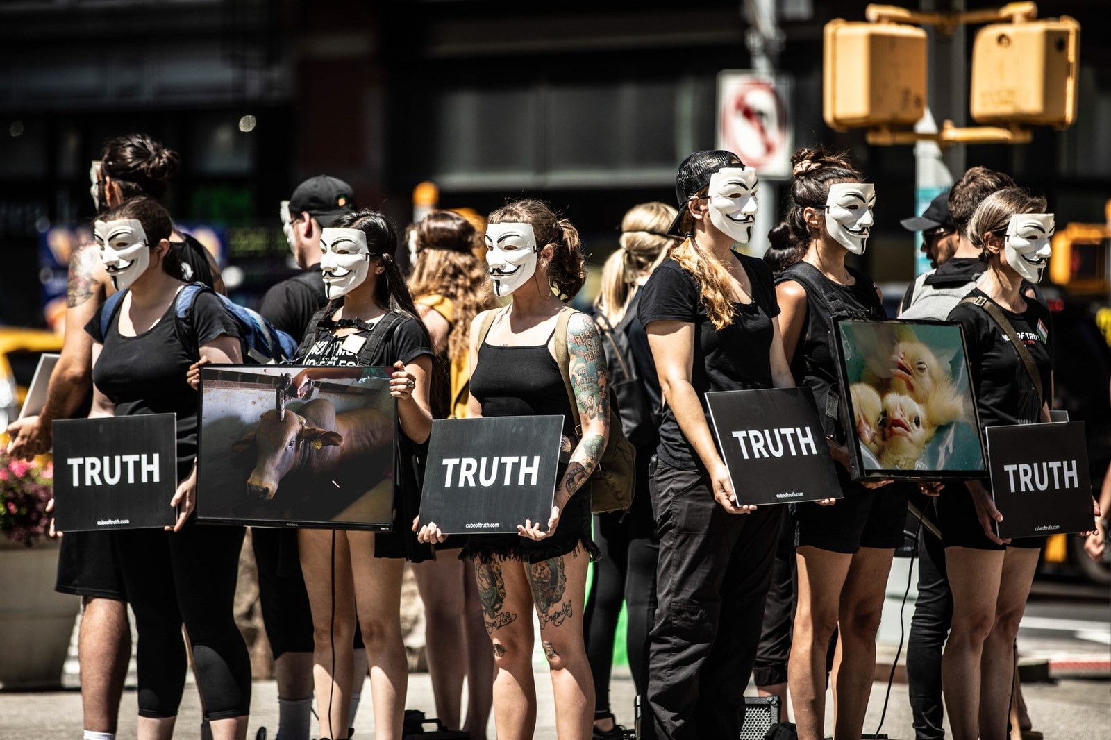 Anonymous for the Voiceless - Paris