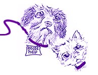 Last Chance Animal Rescue
