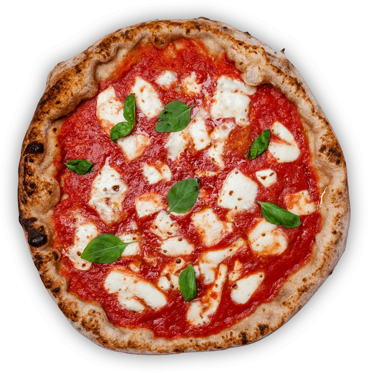 Nettuno