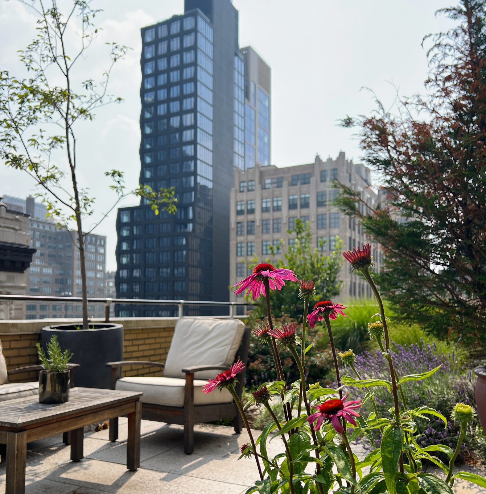 Soho Terrace