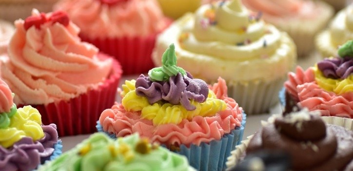 Nottingham Vegan Festival