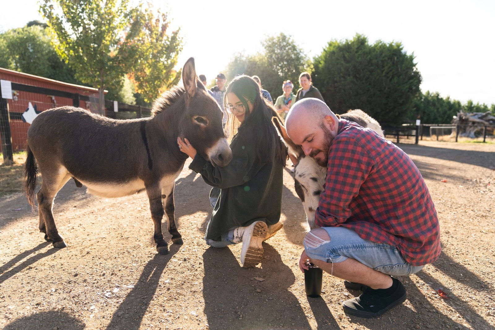 Animal Liberation NSW Sanctuary