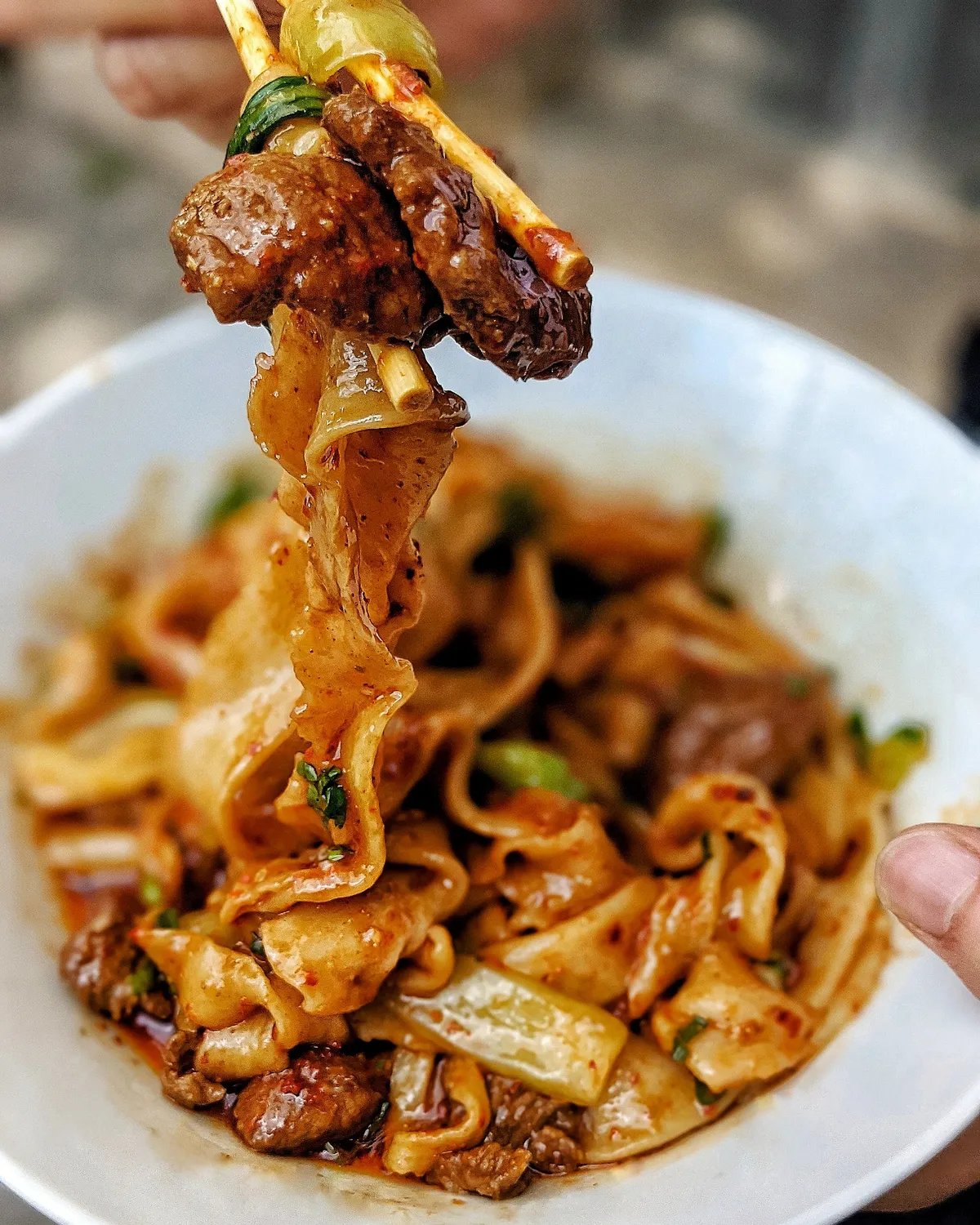 WENCHENG HANDPULLED NOODLES