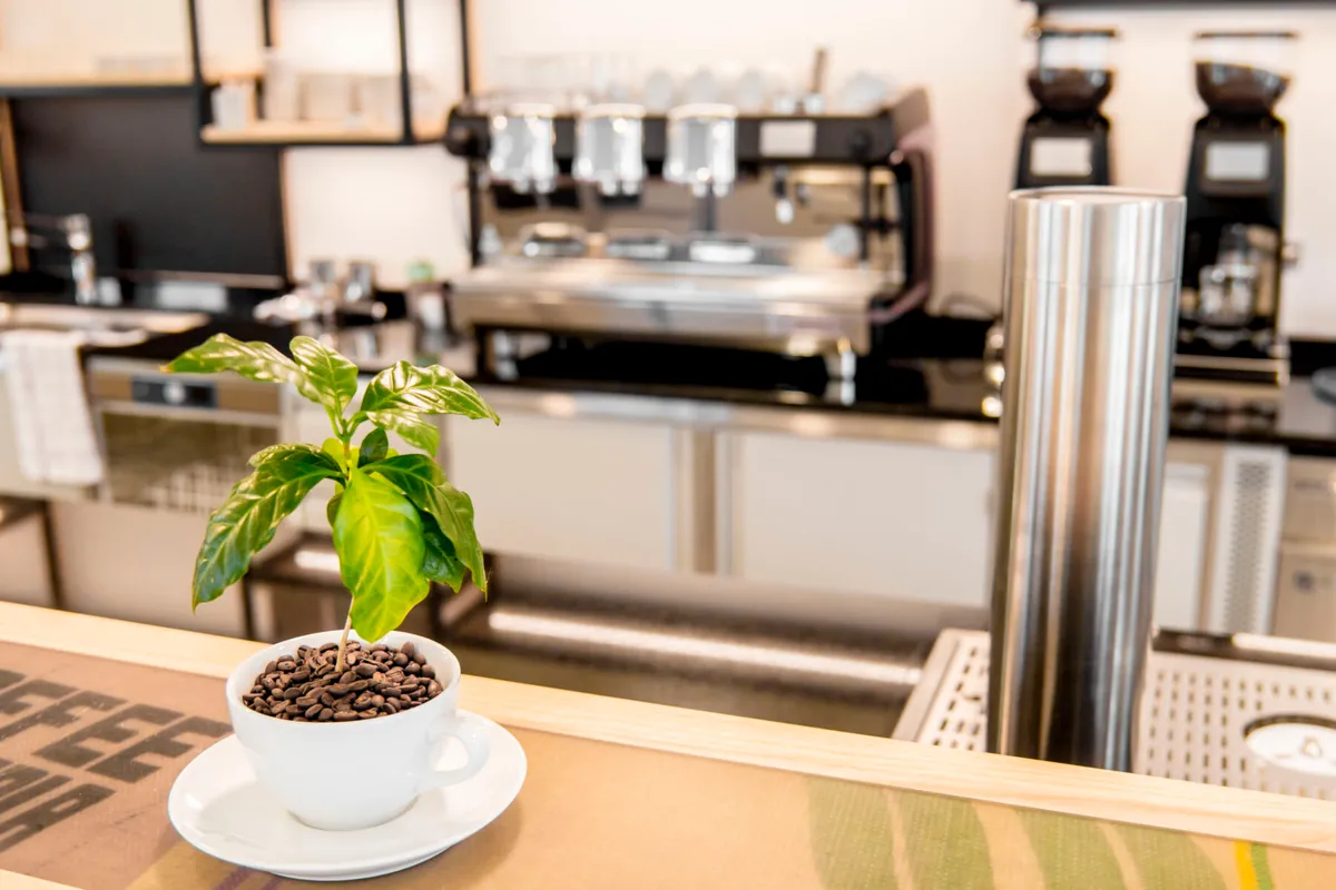 Cafe Cabresso