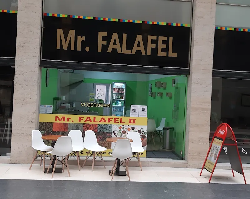 Mr. Falafel