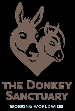 The Donkey Sanctuary