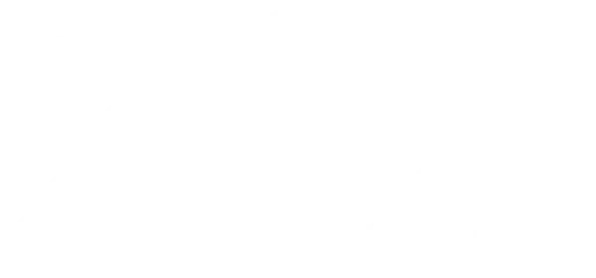 Your Zoi