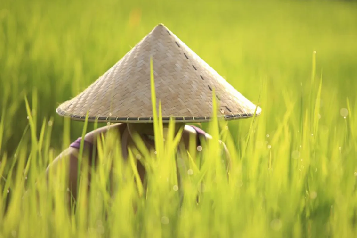 Thai Land