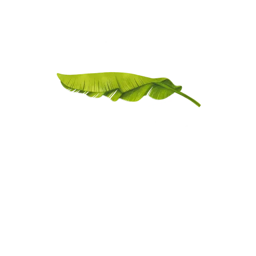 Bai Tong