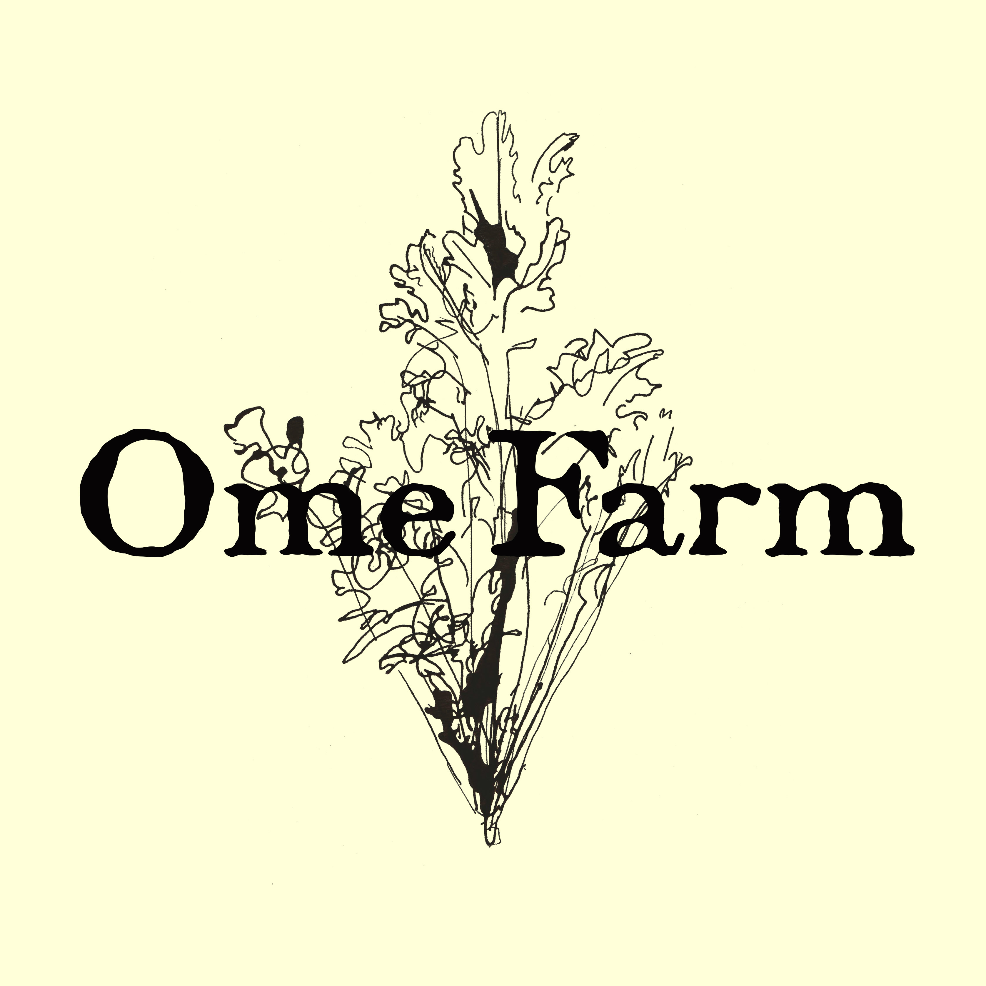 Ome Farm Kitchen