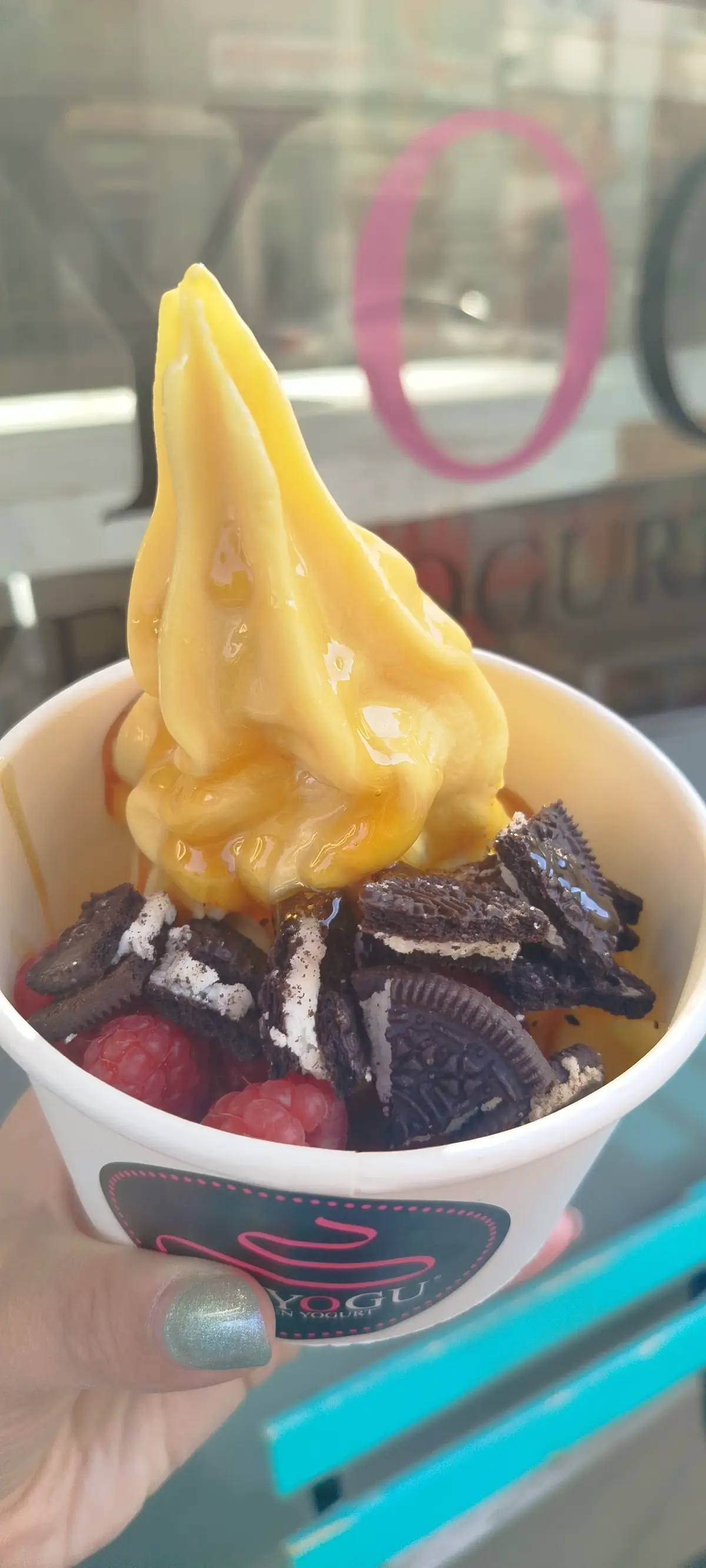 Shiyogu Frozen Yoghurt